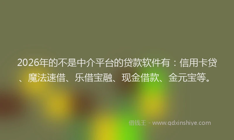 2026年的不是中介平台的贷款软件有：信用卡贷、魔法速借、乐借宝融、现金借款、金元宝等。