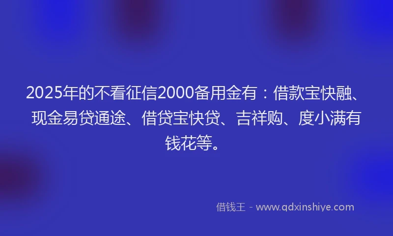 2025年的不看征信2000备用金有:借款宝快融、现金易贷通途、借贷宝快贷、吉祥购、度小满有钱花等。