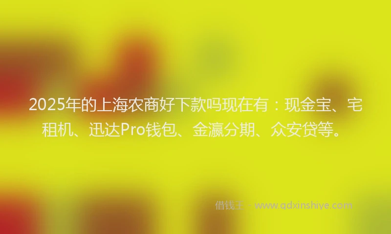 2025年的上海农商好下款吗现在有：现金宝、宅租机、迅达Pro钱包、金瀛分期、众安贷等。