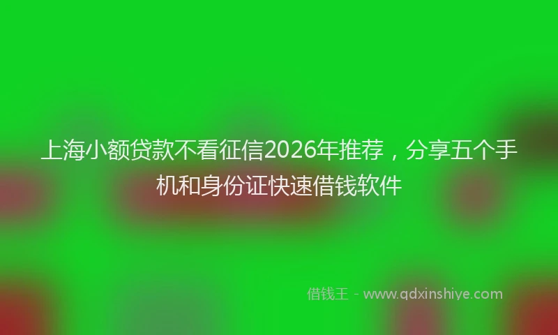 上海小额贷款不看征信2026年推荐，分享五个手机和身份证快速借钱软件