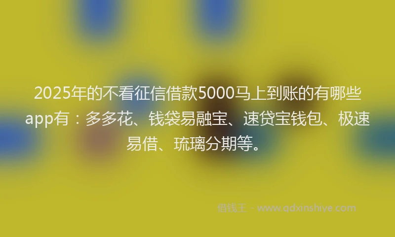 2025年的不看征信借款5000马上到账的有哪些app有:多多花、钱袋易融宝、速贷宝钱包、极速易借、琉璃分期等。