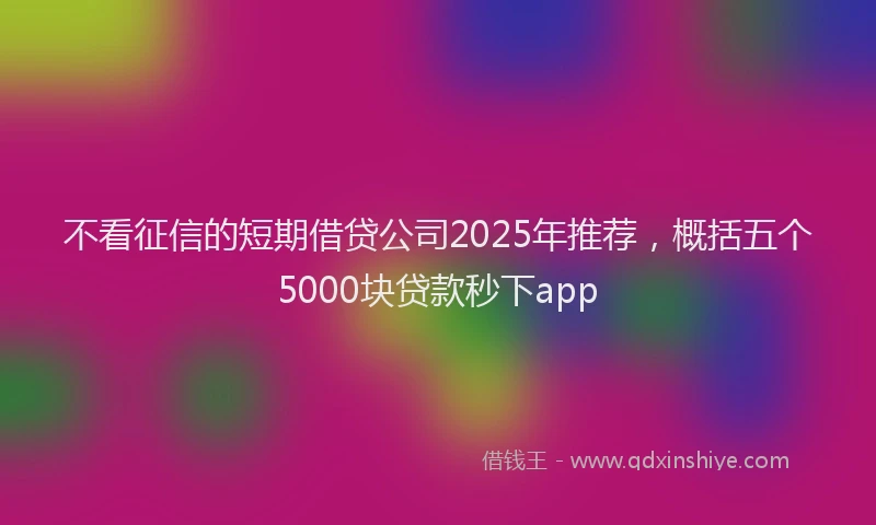 不看征信的短期借贷公司2025年推荐，概括五个5000块贷款秒下app