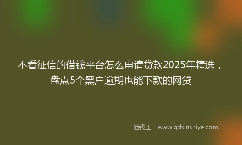 不看征信的借钱平台怎么申请贷款2025年精选,盘点5个黑户逾期也能下款的网贷