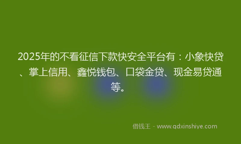 2025年的不看征信下款快安全平台有：小象快贷、掌上信用、鑫悦钱包、口袋金贷、现金易贷通等。