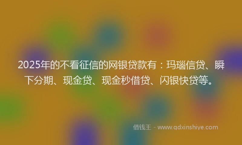 2025年的不看征信的网银贷款有：玛瑙信贷、瞬下分期、现金贷、现金秒借贷、闪银快贷等。
