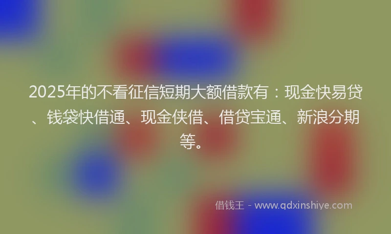2025年的不看征信短期大额借款有：现金快易贷、钱袋快借通、现金侠借、借贷宝通、新浪分期等。