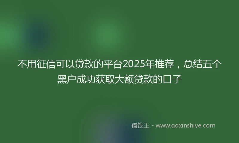不用征信可以贷款的平台2025年推荐，总结五个黑户成功获取大额贷款的口子