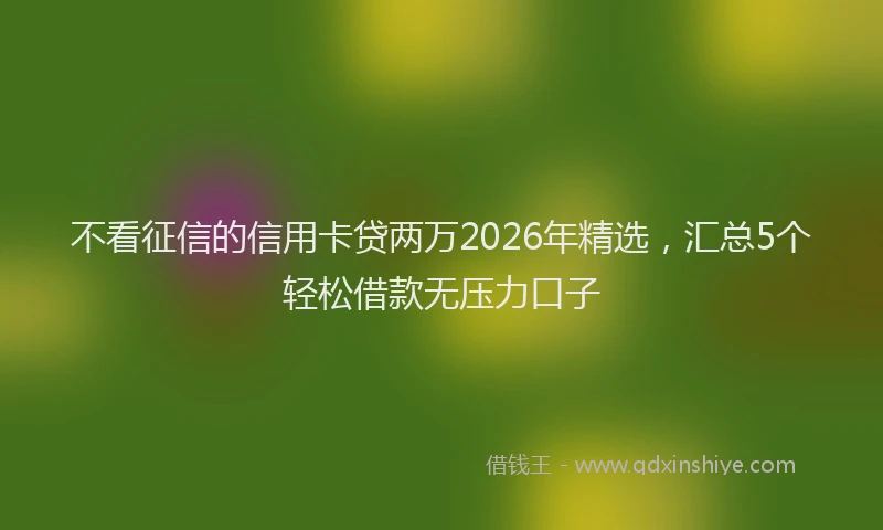 不看征信的信用卡贷两万2026年精选，汇总5个轻松借款无压力口子