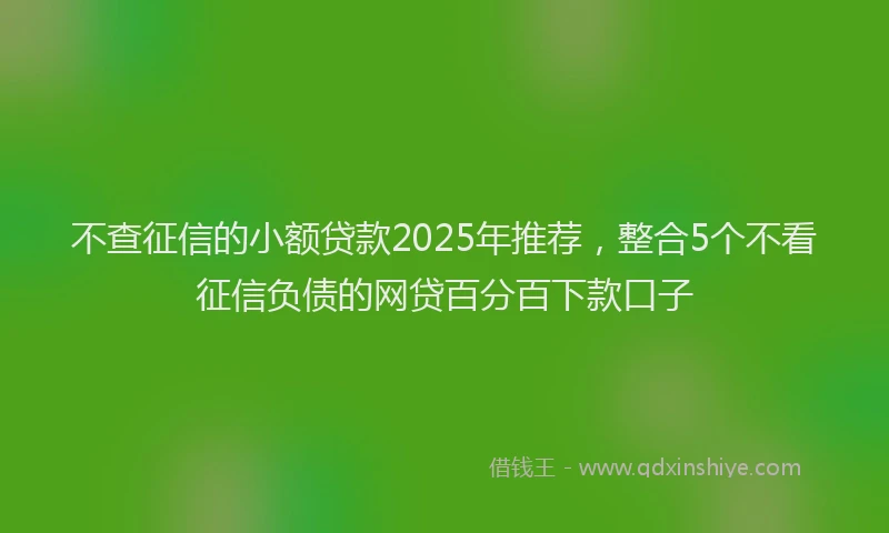 不查征信的小额贷款2025年推荐，整合5个不看征信负债的网贷百分百下款口子