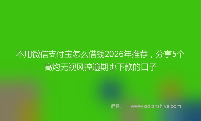 不用微信支付宝怎么借钱2026年推荐，分享5个高炮无视风控逾期也下款的口子
