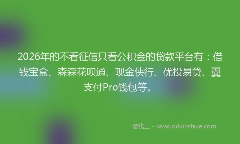 2026年的不看征信只看公积金的贷款平台有：借钱宝盒、森森花呗通、现金侠行、优投易贷、翼支付Pro钱包等。