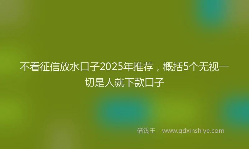 不看征信放水口子2025年推荐，概括5个无视一切是人就下款口子