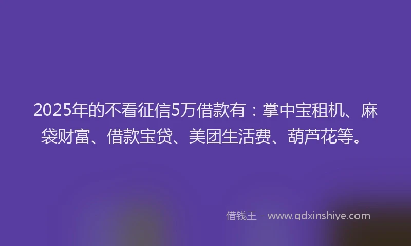 2025年的不看征信5万借款有：掌中宝租机、麻袋财富、借款宝贷、美团生活费、葫芦花等。