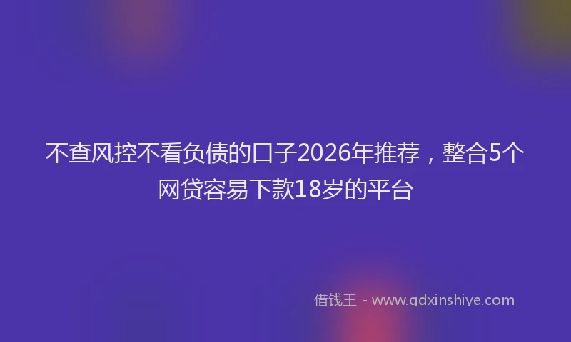 不查风控不看负债的口子2026年推荐，整合5个网贷容易下款18岁的平台