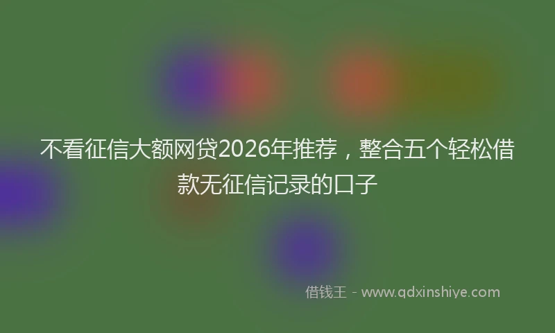 不看征信大额网贷2026年推荐，整合五个轻松借款无征信记录的口子