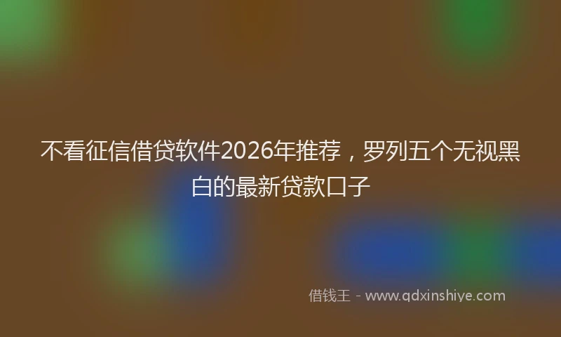 不看征信借贷软件2026年推荐，罗列五个无视黑白的最新贷款口子