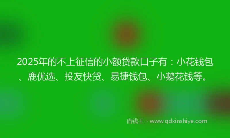 2025年的不上征信的小额贷款口子有：小花钱包、鹿优选、投友快贷、易捷钱包、小鹅花钱等。