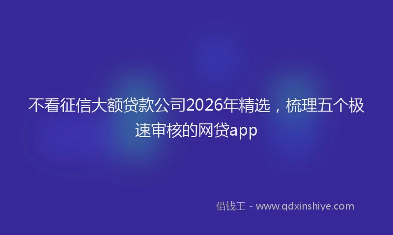 不看征信大额贷款公司2026年精选，梳理五个极速审核的网贷app