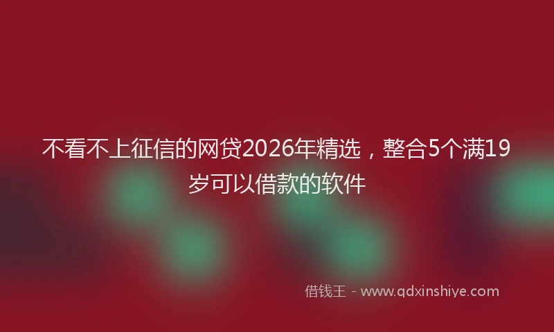 不看不上征信的网贷2026年精选，整合5个满19岁可以借款的软件