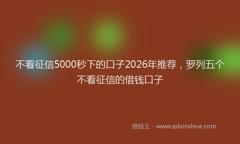 不看征信5000秒下的口子2026年推荐，罗列五个不看征信的借钱口子