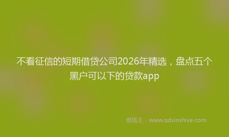 不看征信的短期借贷公司2026年精选，盘点五个黑户可以下的贷款app