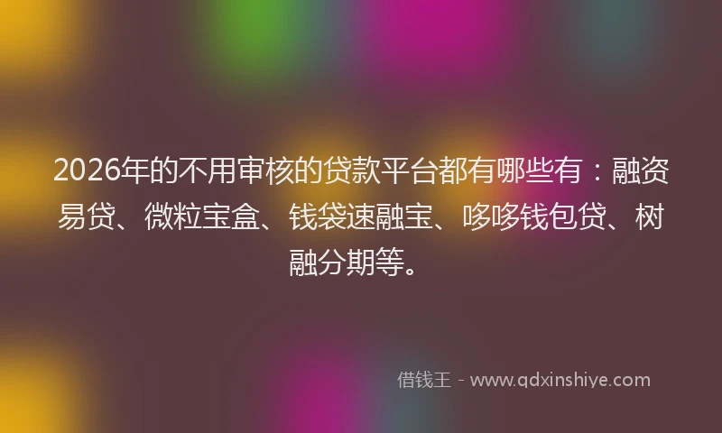 2026年的不用审核的贷款平台都有哪些有：融资易贷、微粒宝盒、钱袋速融宝、哆哆钱包贷、树融分期等。