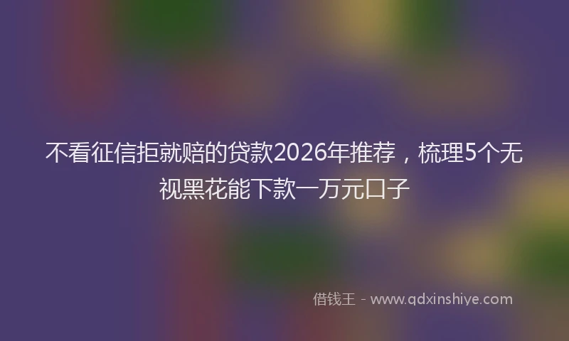 不看征信拒就赔的贷款2026年推荐,梳理5个无视黑花能下款一万元口子