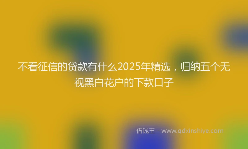 不看征信的贷款有什么2025年精选,归纳五个无视黑白花户的下款口子
