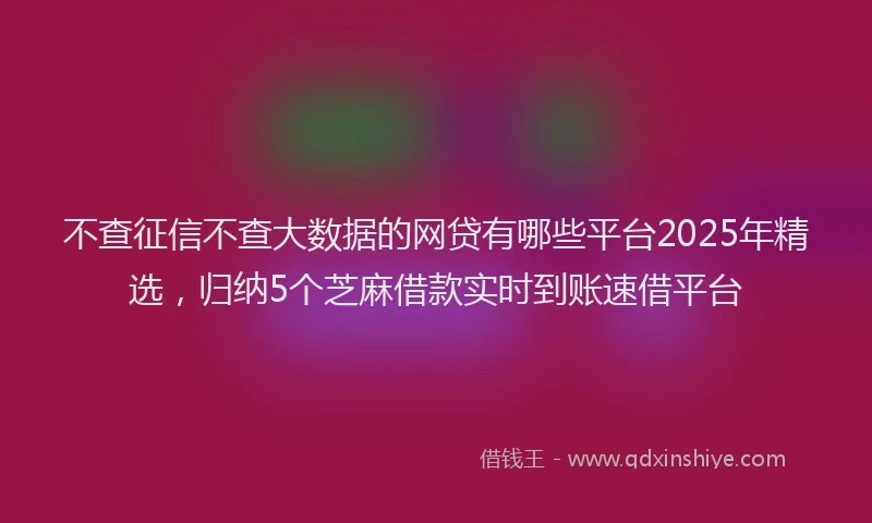 不查征信不查大数据的网贷有哪些平台2025年精选，归纳5个芝麻借款实时到账速借平台
