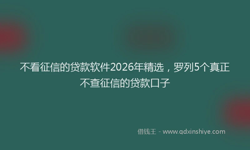 不看征信的贷款软件2026年精选，罗列5个真正不查征信的贷款口子