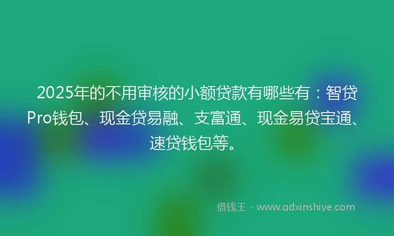 2025年的不用审核的小额贷款有哪些有：智贷Pro钱包、现金贷易融、支富通、现金易贷宝通、速贷钱包等。