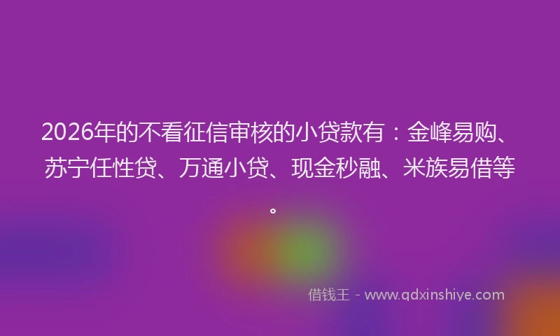 2026年的不看征信审核的小贷款有：金峰易购、苏宁任性贷、万通小贷、现金秒融、米族易借等。
