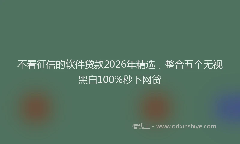不看征信的软件贷款2026年精选，整合五个无视黑白100%秒下网贷
