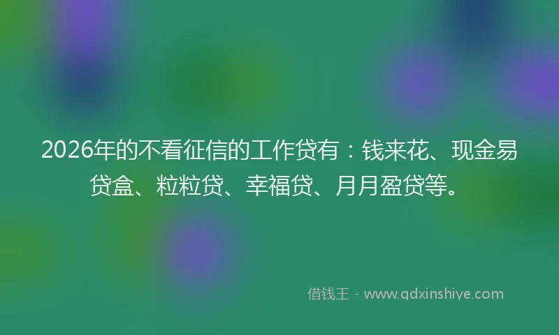 2026年的不看征信的工作贷有:钱来花、现金易贷盒、粒粒贷、幸福贷、月月盈贷等。