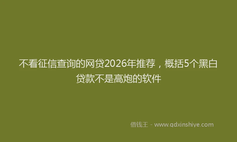 不看征信查询的网贷2026年推荐，概括5个黑白贷款不是高炮的软件