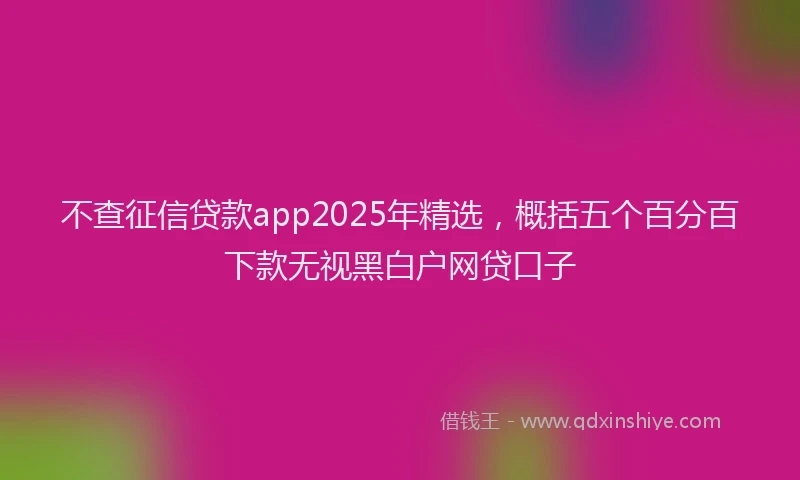 不查征信贷款app2025年精选，概括五个百分百下款无视黑白户网贷口子