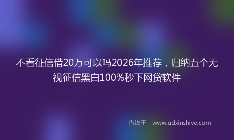 不看征信借20万可以吗2026年推荐，归纳五个无视征信黑白100%秒下网贷软件
