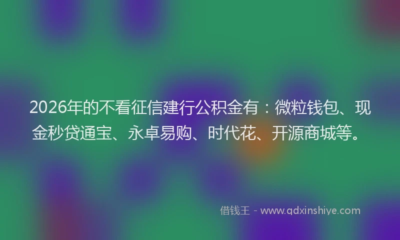 2026年的不看征信建行公积金有:微粒钱包、现金秒贷通宝、永卓易购、时代花、开源商城等。