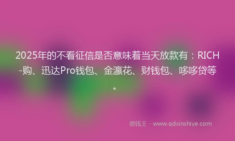 2025年的不看征信是否意味着当天放款有:RICH-购、迅达Pro钱包、金瀛花、财钱包、哆哆贷等。