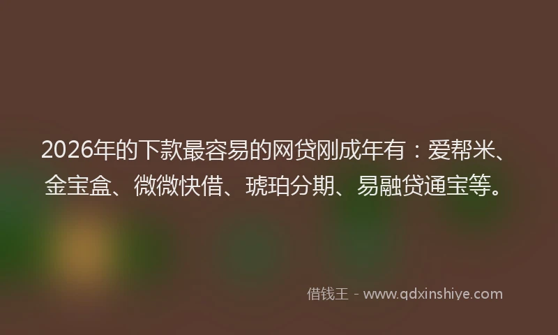 2026年的下款最容易的网贷刚成年有：爱帮米、金宝盒、微微快借、琥珀分期、易融贷通宝等。