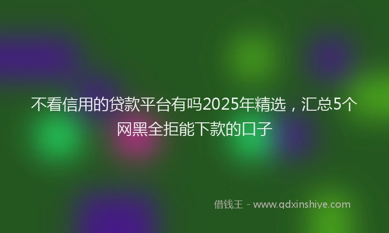 不看信用的贷款平台有吗2025年精选,汇总5个网黑全拒能下款的口子