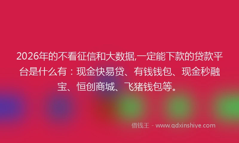 2026年的不看征信和大数据,一定能下款的贷款平台是什么有：现金快易贷、有钱钱包、现金秒融宝、恒创商城、飞猪钱包等。