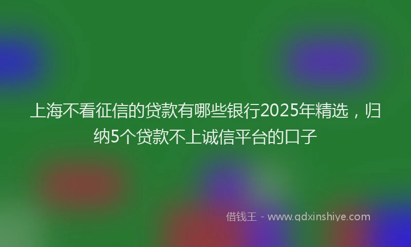 上海不看征信的贷款有哪些银行2025年精选，归纳5个贷款不上诚信平台的口子