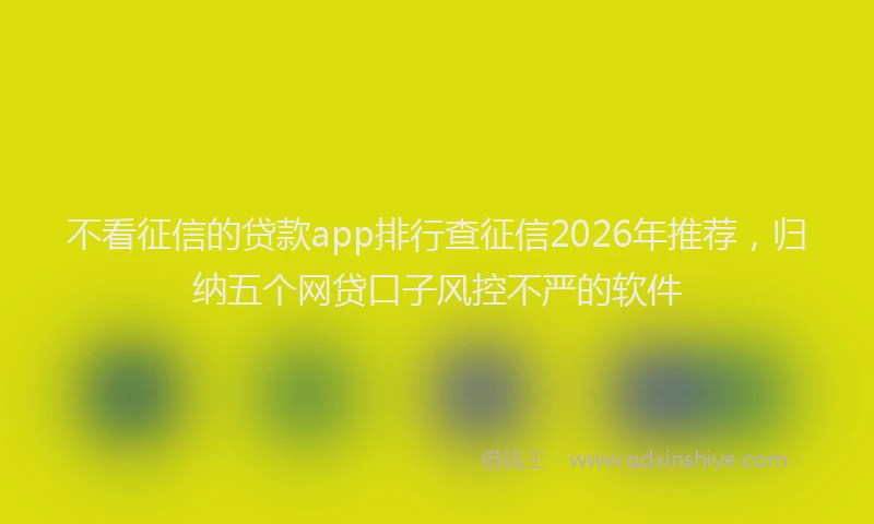 不看征信的贷款app排行查征信2026年推荐，归纳五个网贷口子风控不严的软件