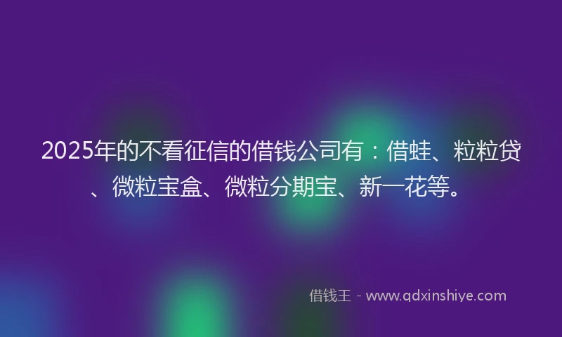 2025年的不看征信的借钱公司有：借蛙、粒粒贷、微粒宝盒、微粒分期宝、新一花等。