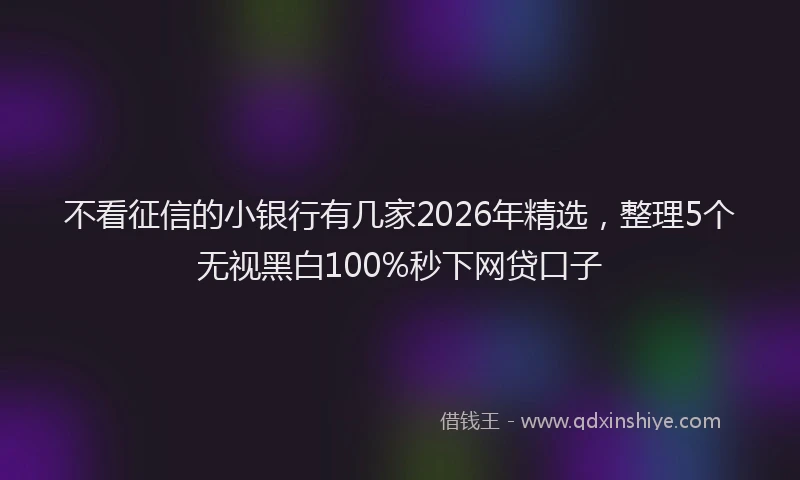 不看征信的小银行有几家2026年精选，整理5个无视黑白100%秒下网贷口子