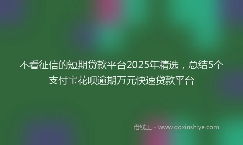 不看征信的短期贷款平台2025年精选，总结5个支付宝花呗逾期万元快速贷款平台