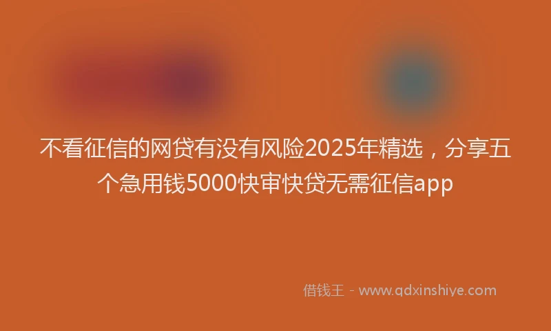 不看征信的网贷有没有风险2025年精选，分享五个急用钱5000快审快贷无需征信app