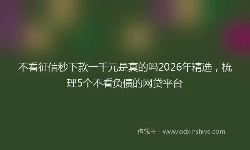不看征信秒下款一千元是真的吗2026年精选，梳理5个不看负债的网贷平台