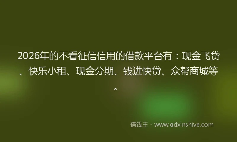 2026年的不看征信信用的借款平台有：现金飞贷、快乐小租、现金分期、钱进快贷、众帮商城等。